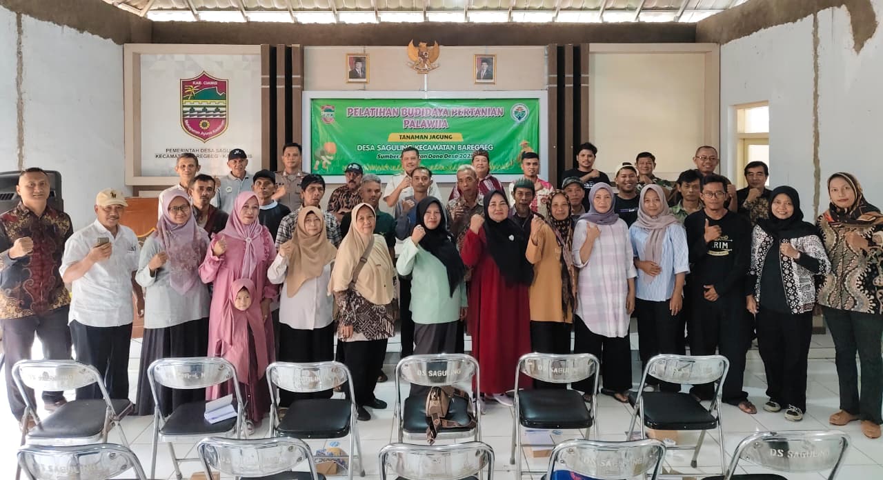 KEGIATAN PELATIHAN BUDIDAYA TANAMAN PALAWIJA DI DESA SAGULING
